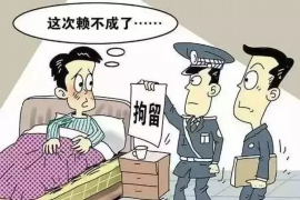 温县温县专业催债公司，专业催收